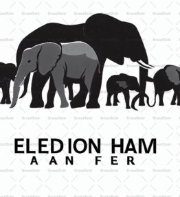 Herde afrikanischer Elefanten